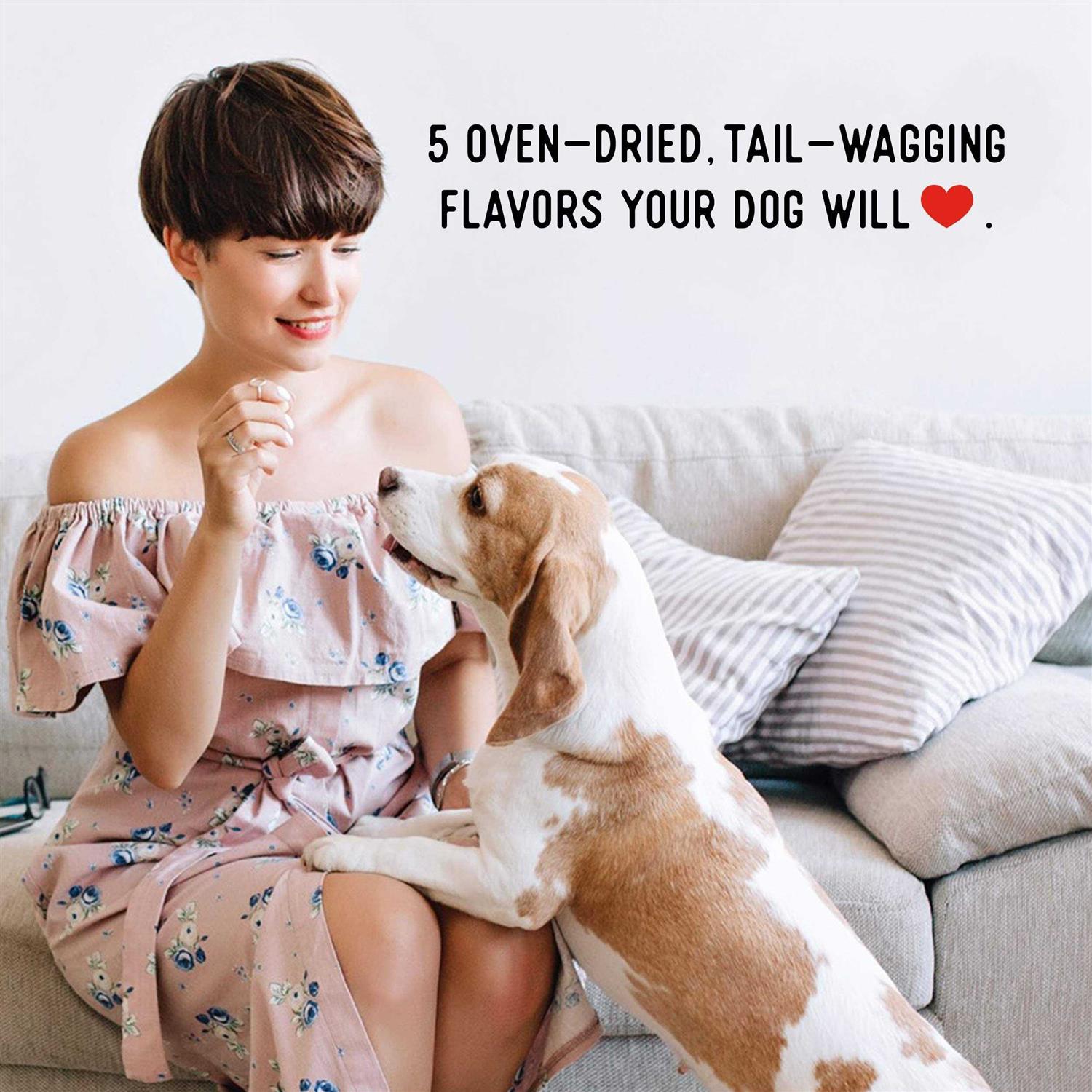 Farmland Traditions Dogs Love Beef Jerky Treats - Healthber