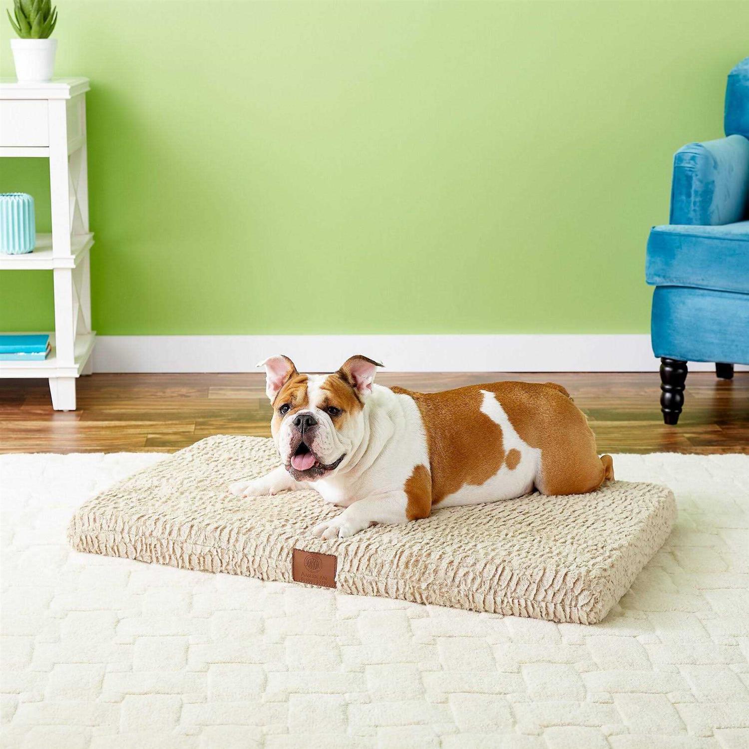 American Kennel Club Orthopedic Dog Crate Mat - Healthber