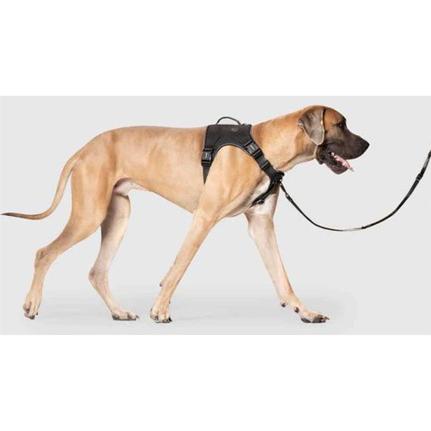 Canada Pooch Complete Control Dog Harness - Healthber