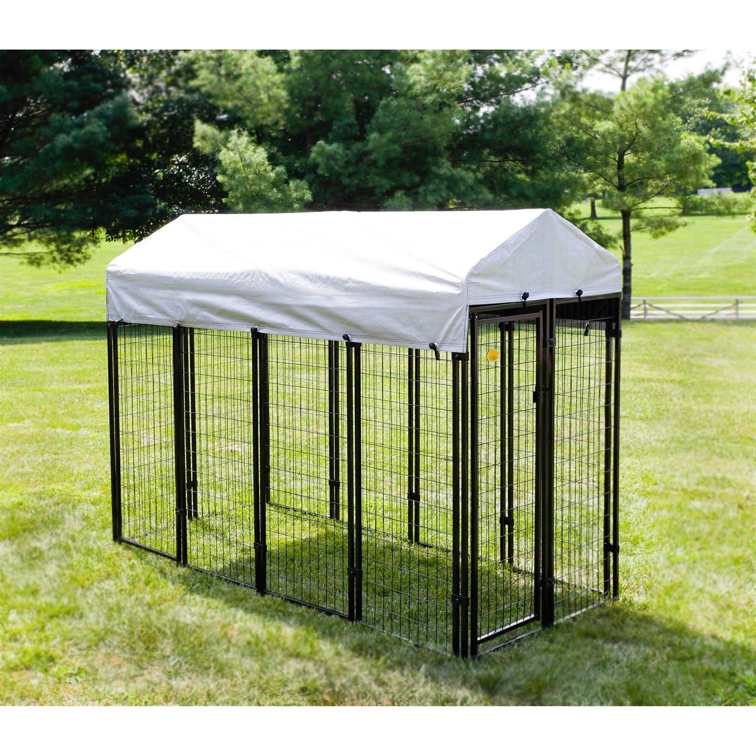 Kennelmaster Black Welded Wire Dog Kennel, 8 ft. x 4 ft. x 6 ft, Size: 96 inch x 48 inch x 72 inch - Healthber