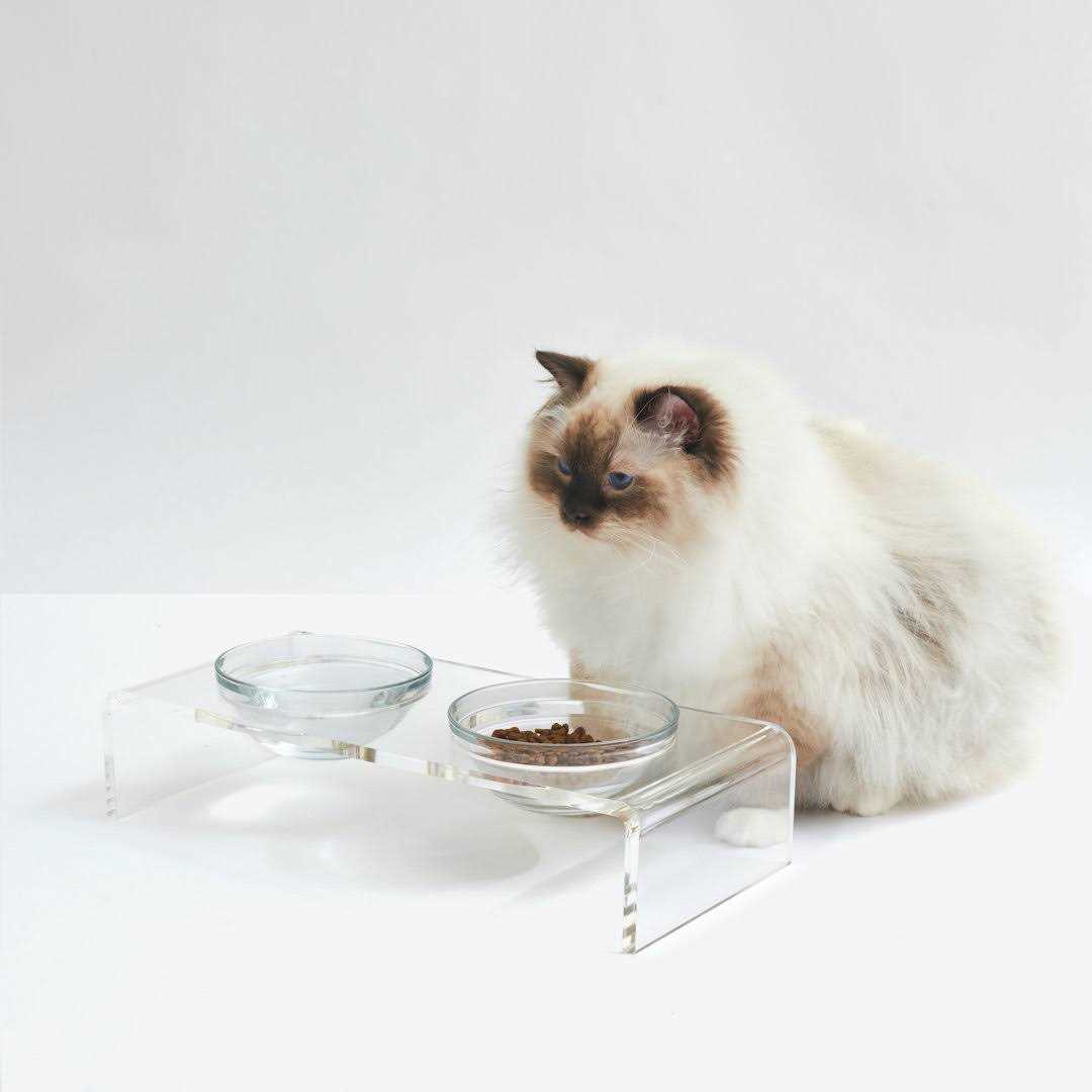 Glass Bowl Clear Elevated Feeder Hiddin - Healthber