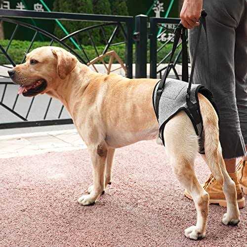 Dotoner Dog Sling for Large Dogs Hind Leg Support to Help Rehabilitate The Hind Limbs of Elderly Dogs with Weak Hind Legs Disabilities and Injuries - Healthber