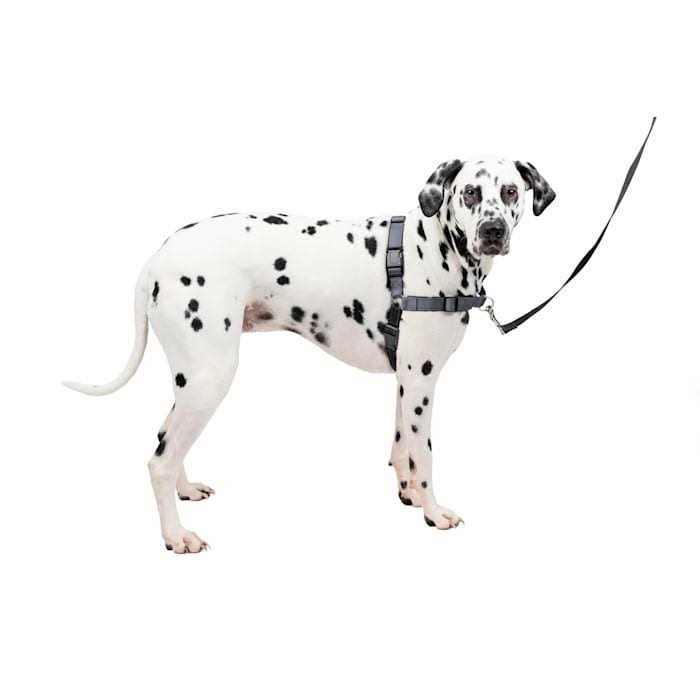 PETSAFE Easy Walk Harness - Healthber
