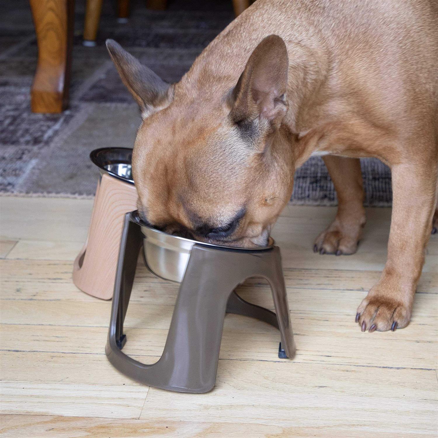 Sport Pet SportPet Food Bowls_Raised Stainless Steel Bowl_Gravity Feeder and Waterer - Healthber