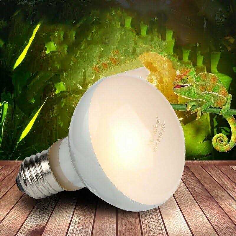 NOMOYPET 2 Pack Reptile Uvb Uva Heat Lamp Bulb For Truly Like Heat For Reptile - Healthber