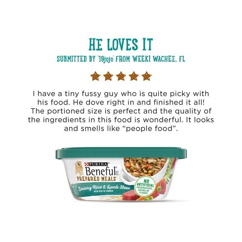 Purina Beneful Prepared Meals Savory Rice & Lamb Stew Wet Dog Food - Healthber