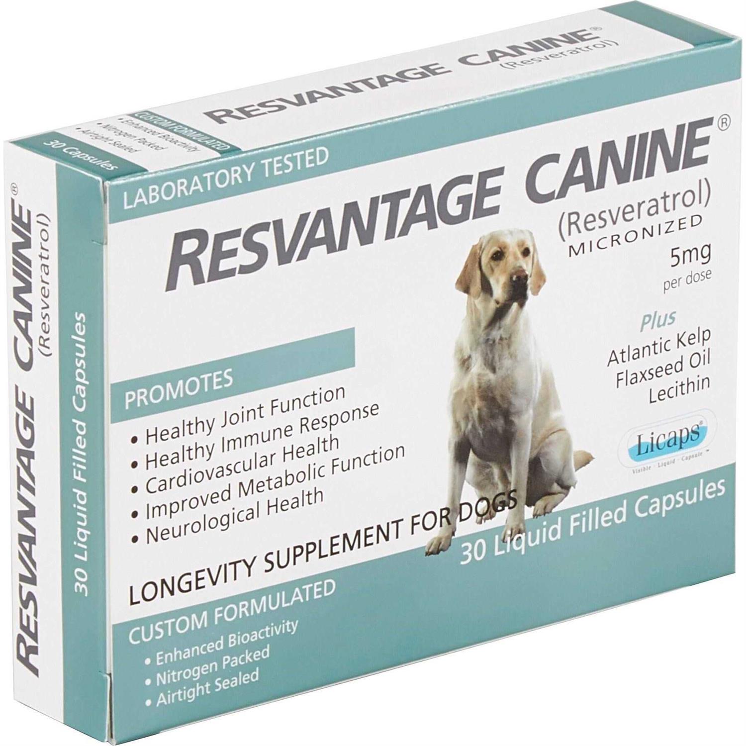 Resvantage Canine - Healthber