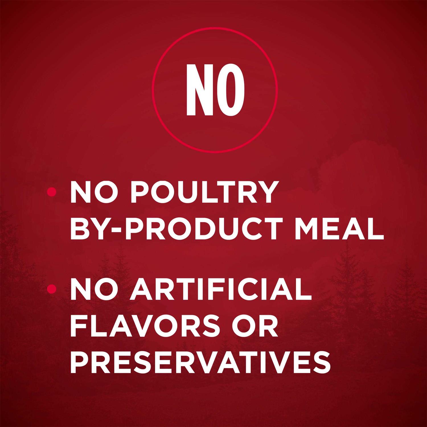Purina ONE Grain Free Natural Dry Dog Food - Healthber