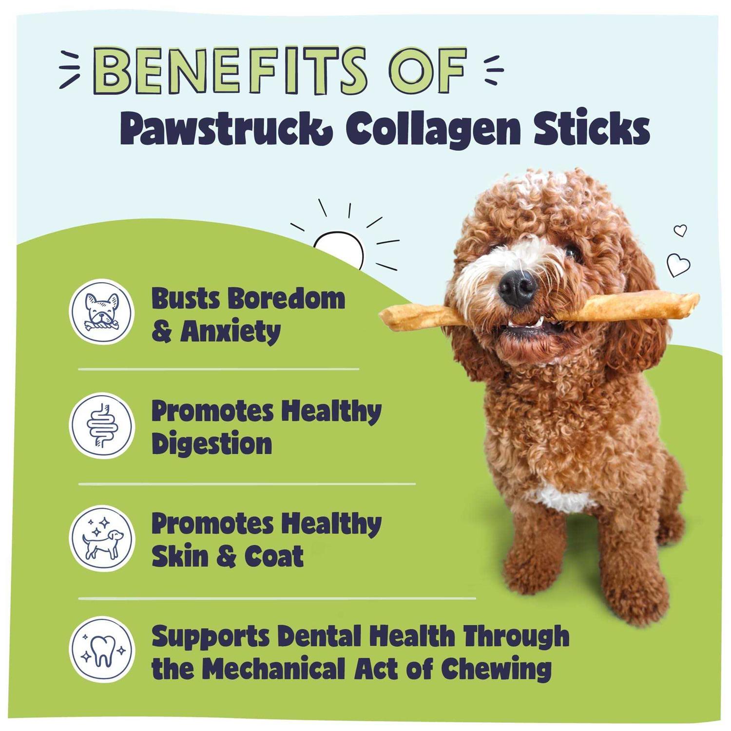 Pawstruck Natural Collagen Sticks for Dogs - Healthber