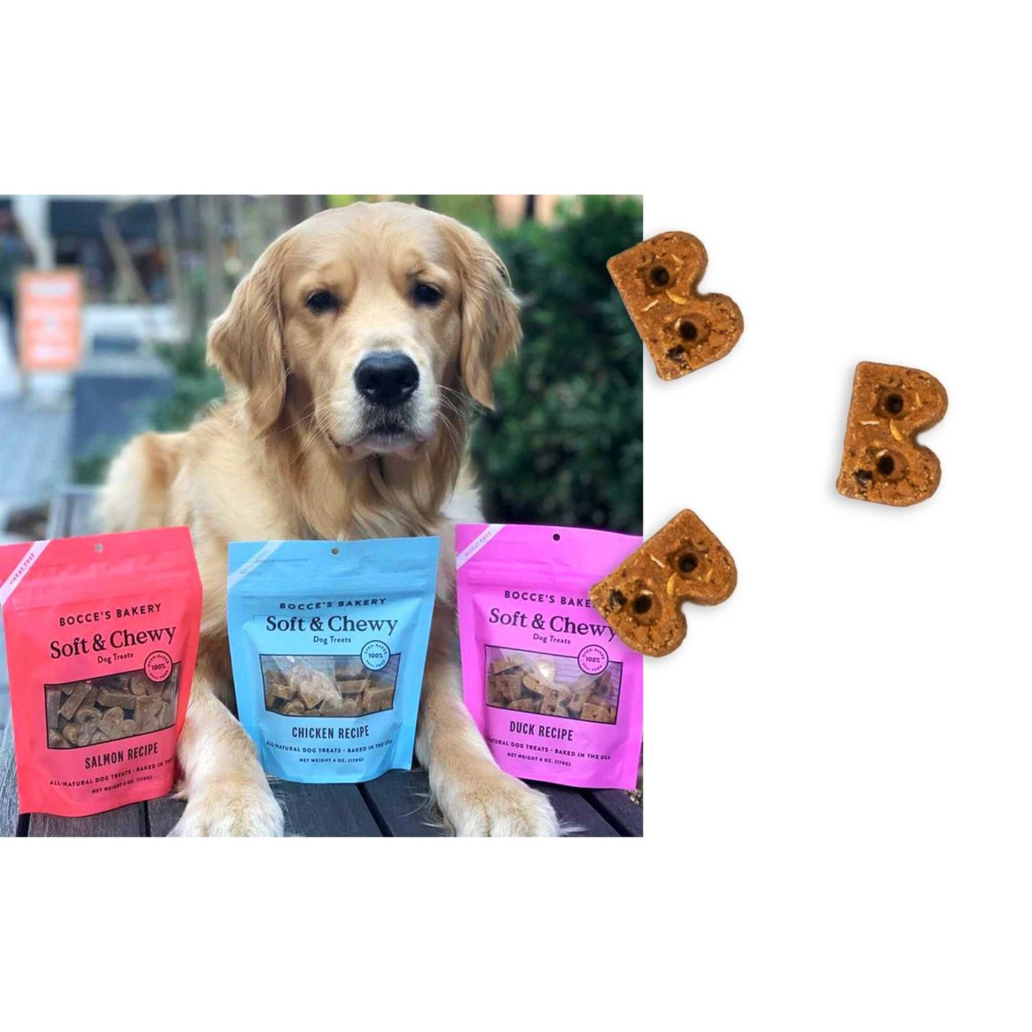 Bocce’s Bakery Soft & Chewy Peanut Butter & Banana Dog Treats - Healthber