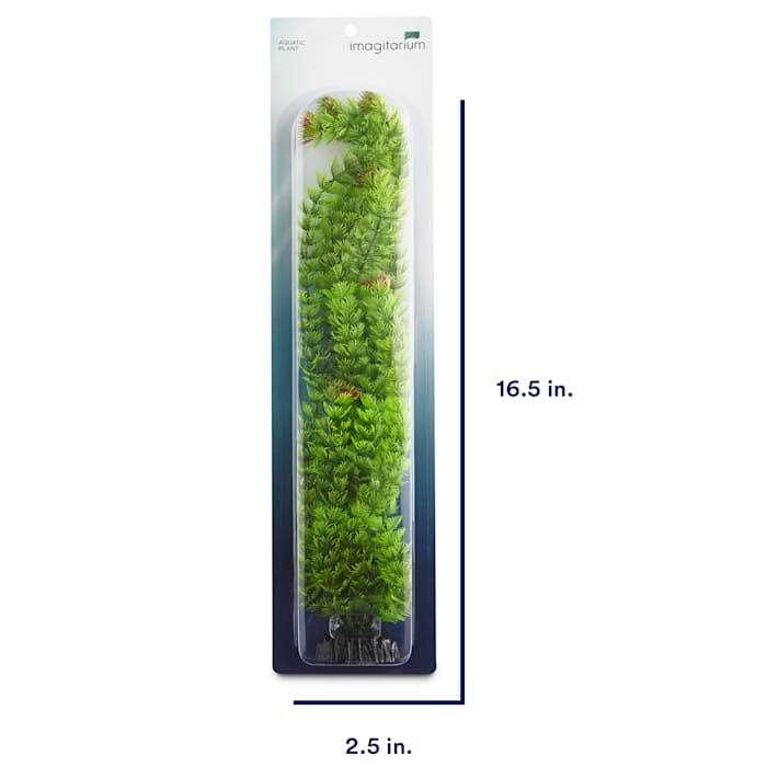 Imagitarium Extra Large Ambulia Green Plastic - Healthber
