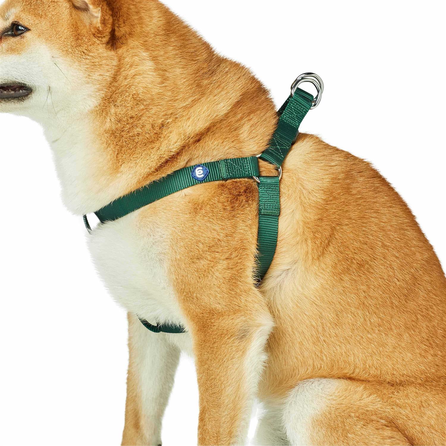 Blueberry Pet Essentials Classic Durable Solid Nylon Step-In Dog Harness - Healthber