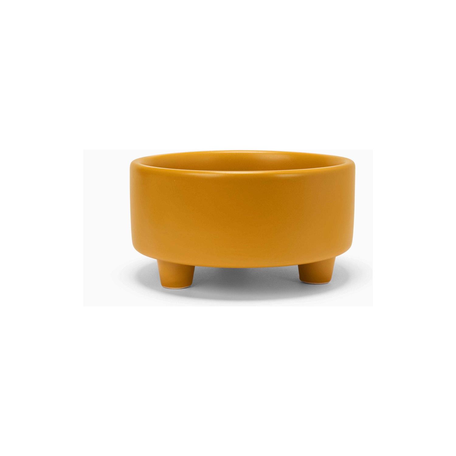 Waggo Uplift Ceramic Dog Bowl - Healthber