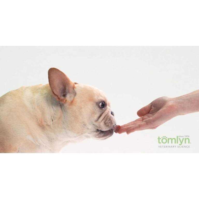 Tomlyn Nutri-Cal High Calorie Nutritional Gel for Dogs - Healthber