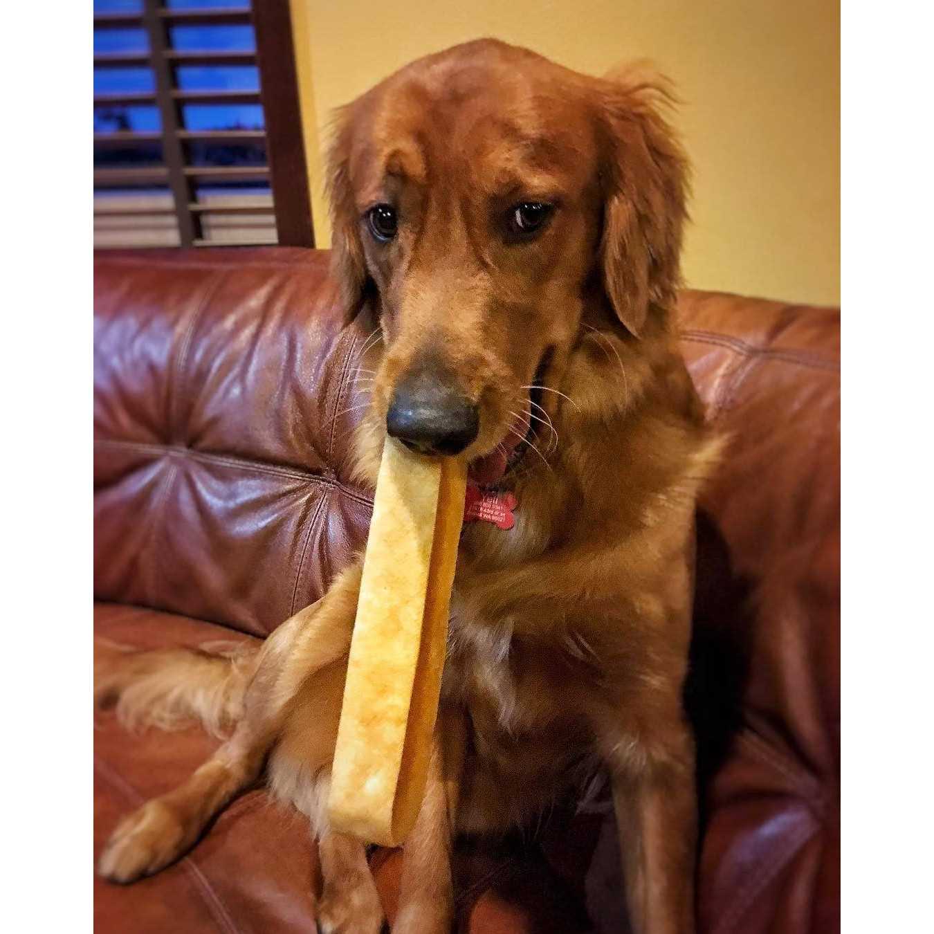 Yeti Dog Chew - Healthber