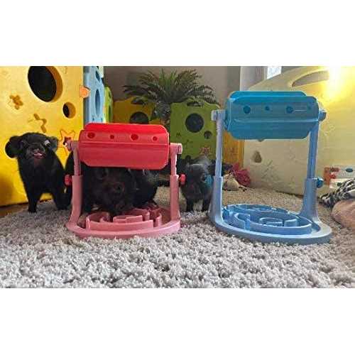 Piggy Poo and Crew Adjustable Height Slow Feeder Game - Healthber