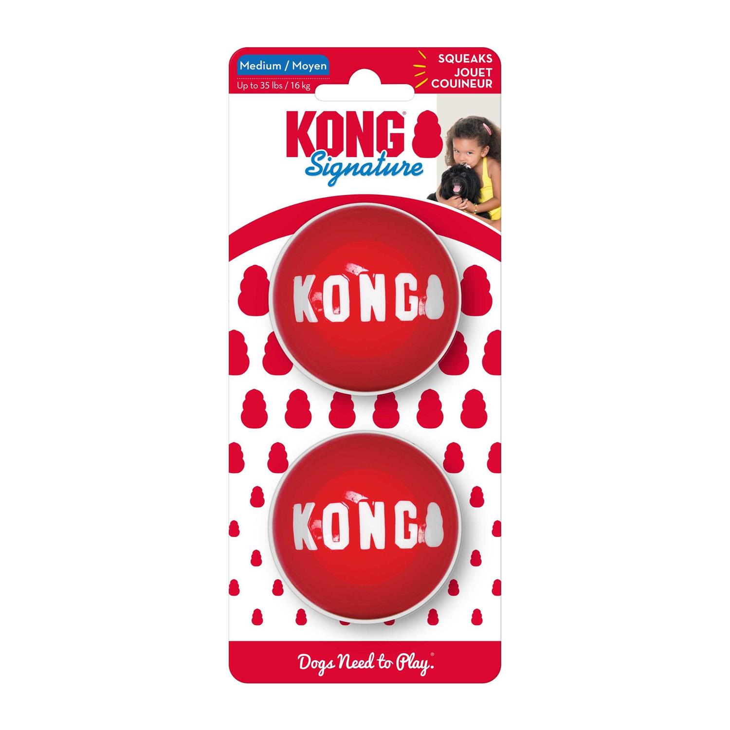 Kong Signature Ball Dog Toy - Healthber