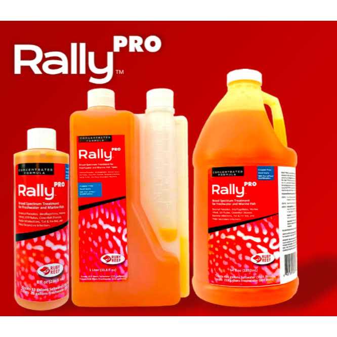 Ruby Reef Rally Pro - Healthber