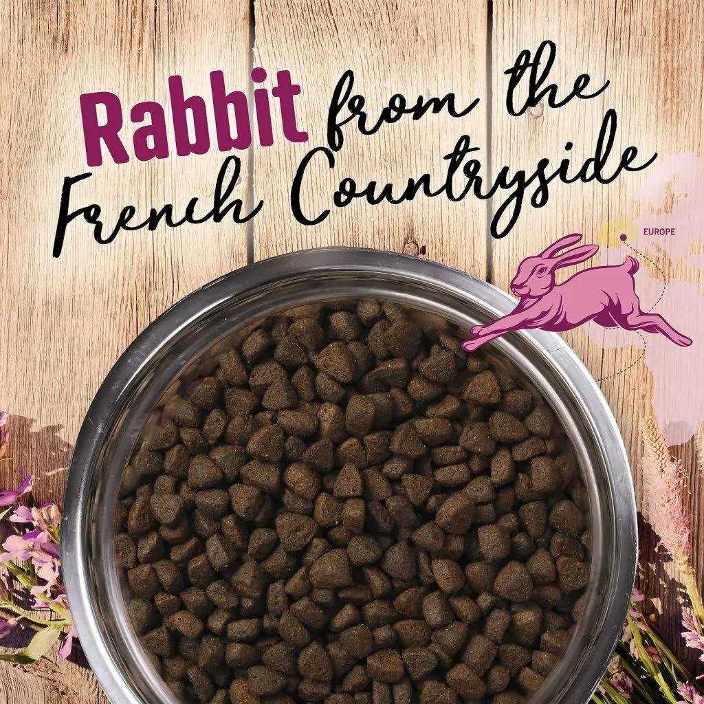 Earthborn Holistic Venture Grain Free Rabbit Meal Pumpkin Dry Dog Food - Healthber