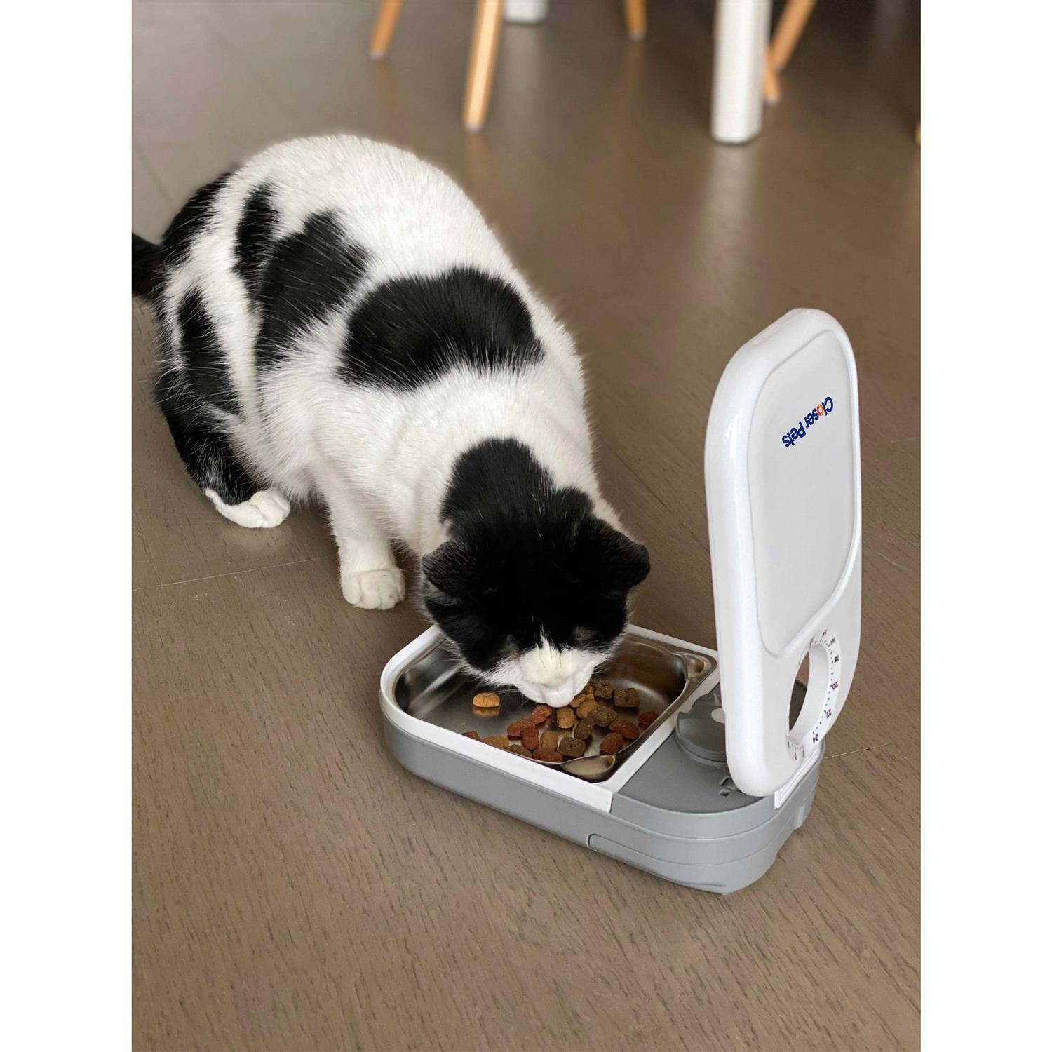 Closer Pets One-Meal Automatic Timed Dog & Cat Feeder with Stainless Steel Bowl Insert - Healthber
