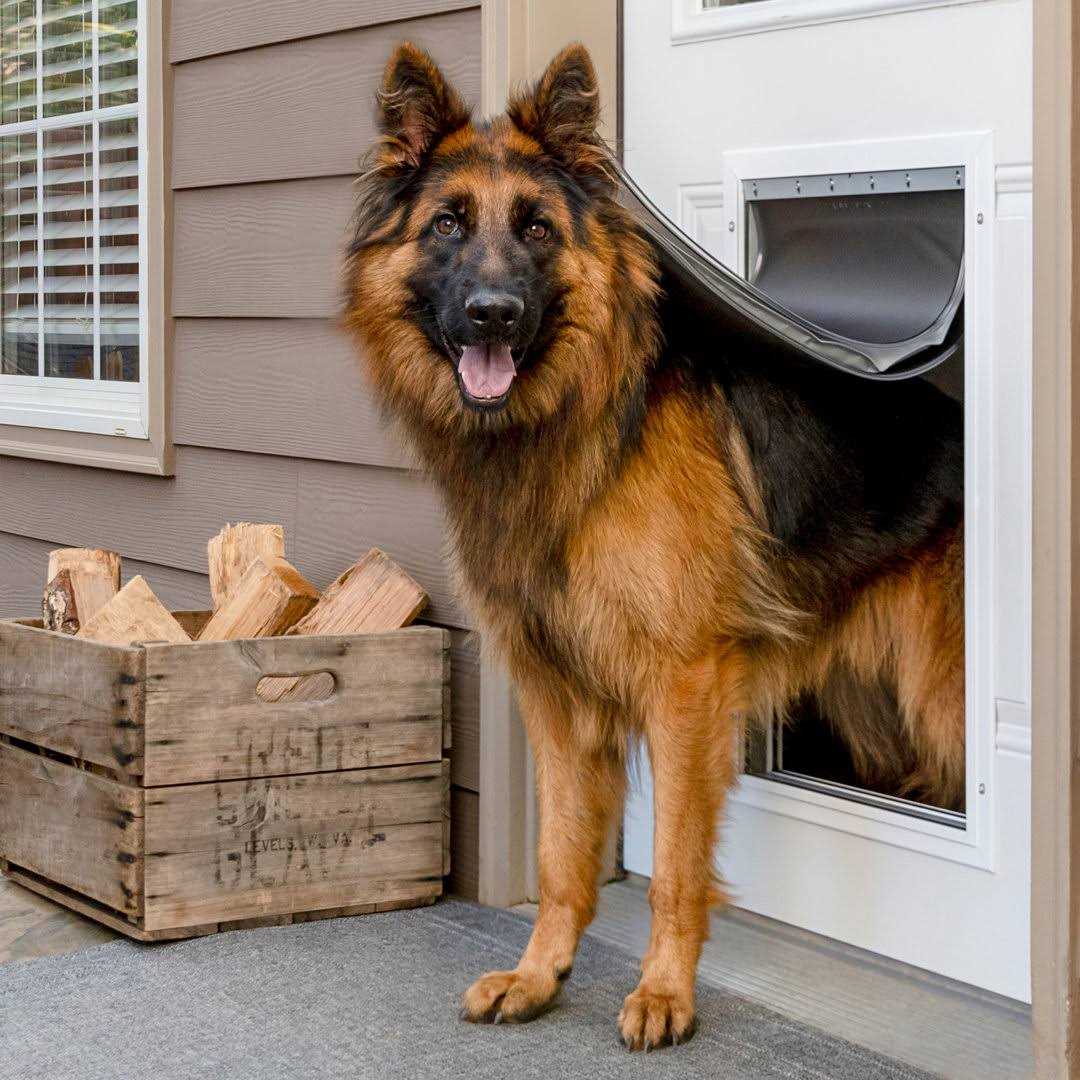 Extreme Weather Aluminum Pet Door PetSafe - Healthber