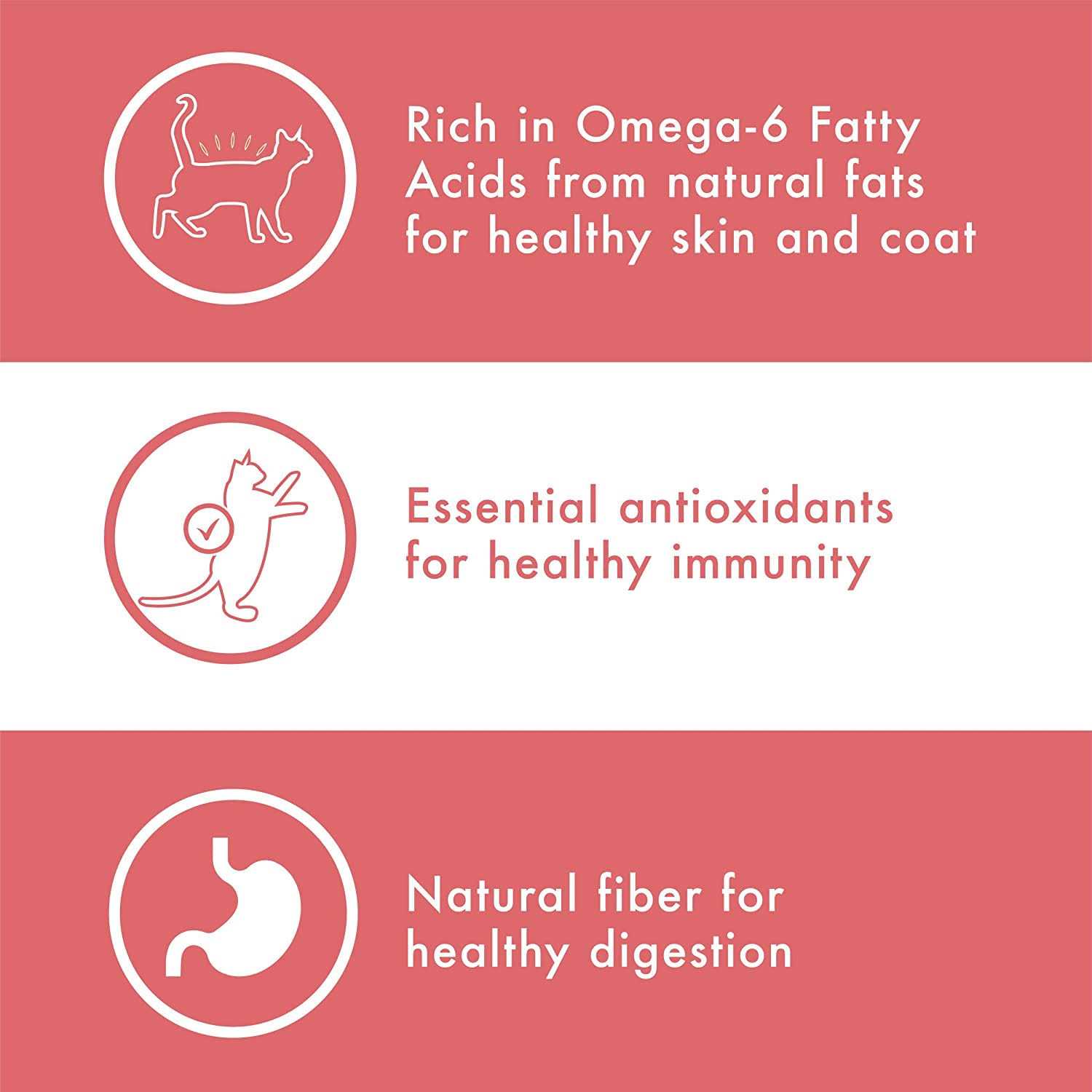 Nutro Wholesome Essentials Brown Rice Cat Food - Healthber