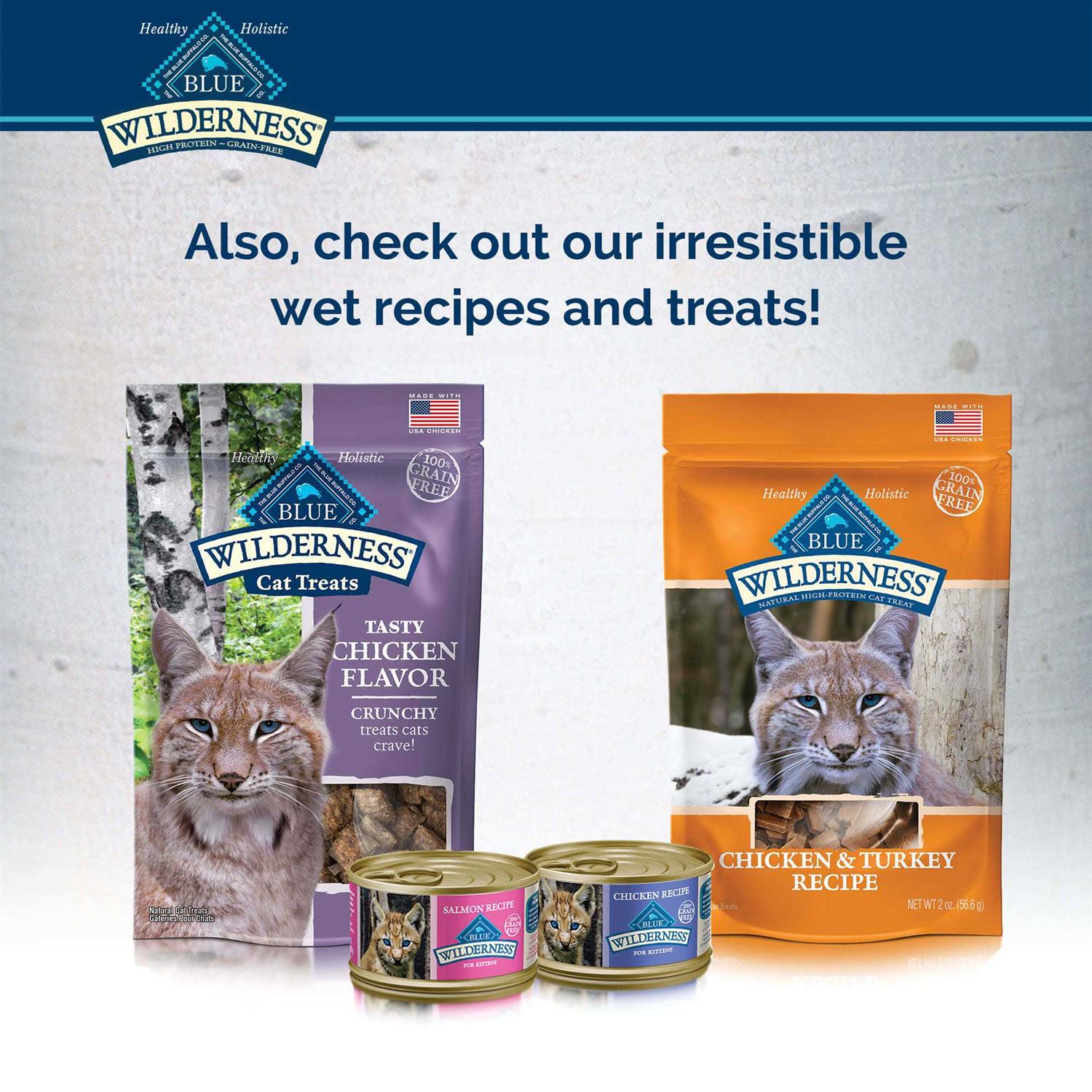 Blue Wilderness Kitten Dry Food - Healthber
