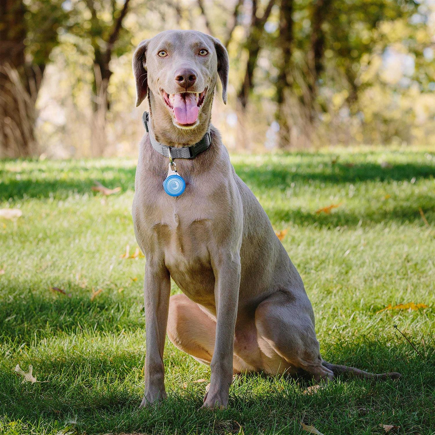 Nite Ize WearAbout Pet Clippable Tracker Holder - Healthber