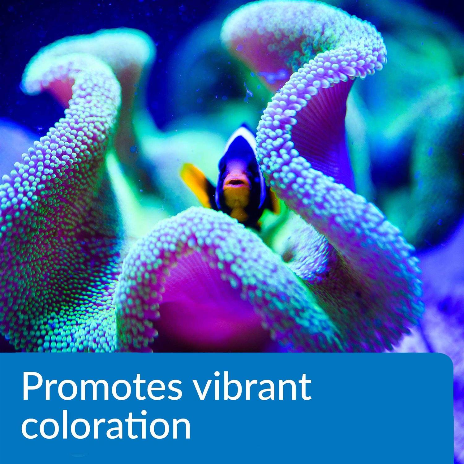 API Marine Complete Trace Aquarium Water Conditioner - Healthber