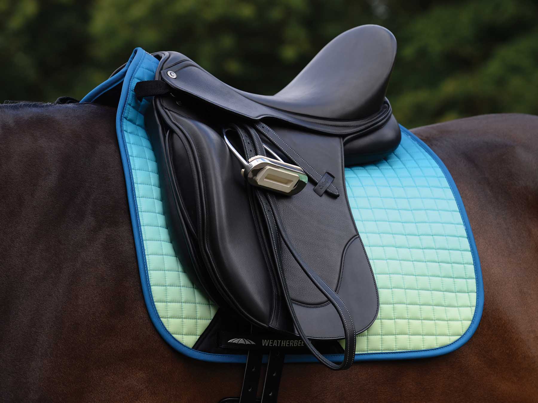 WeatherBeeta Prime Ombre Dressage Saddle Pad - Healthber