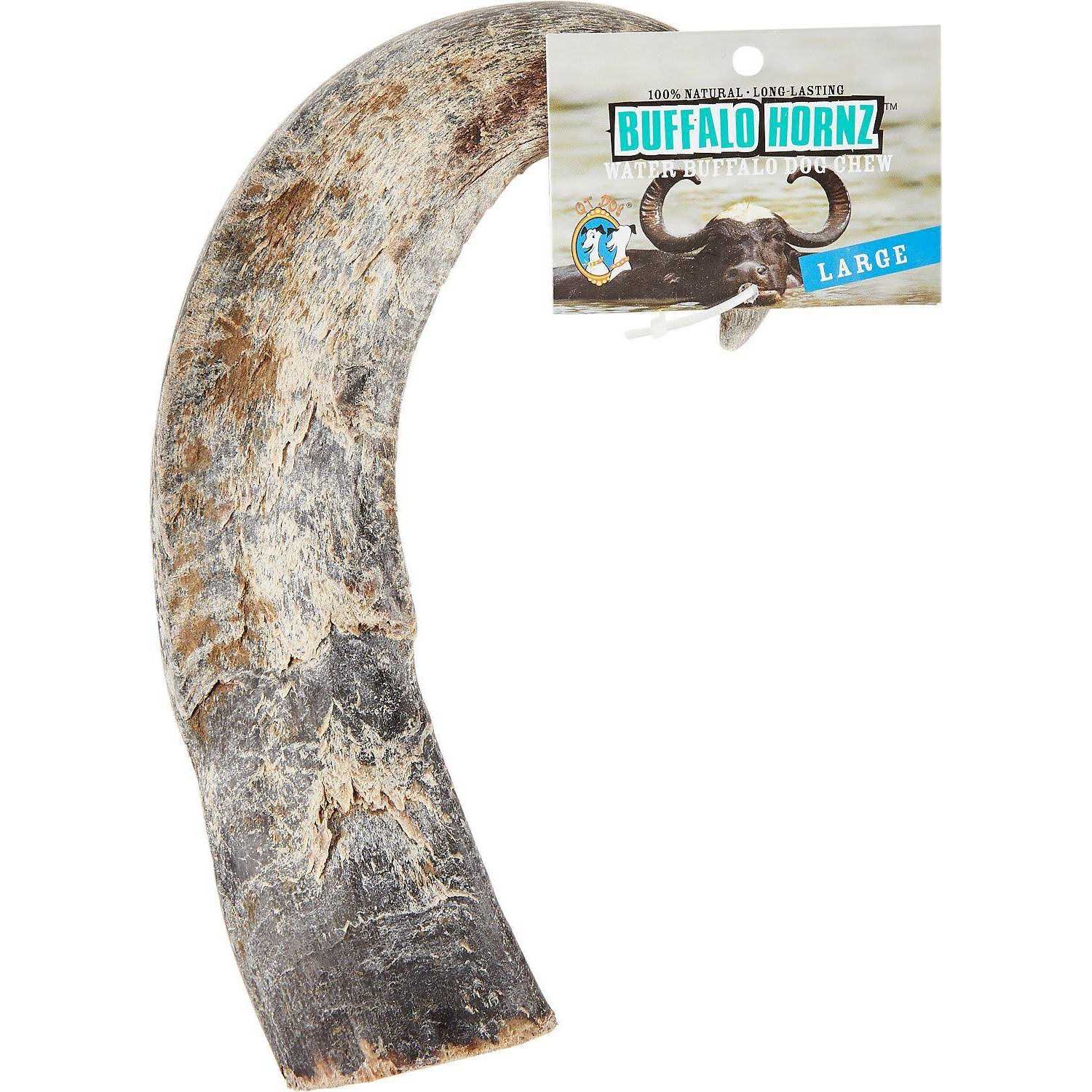 QT Dog Water Buffalo Horn Small - Healthber