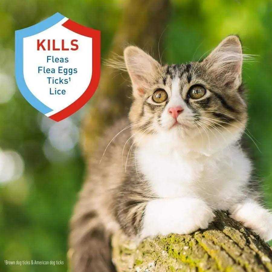 Adams Plus Flea Tick Shampoo - Healthber