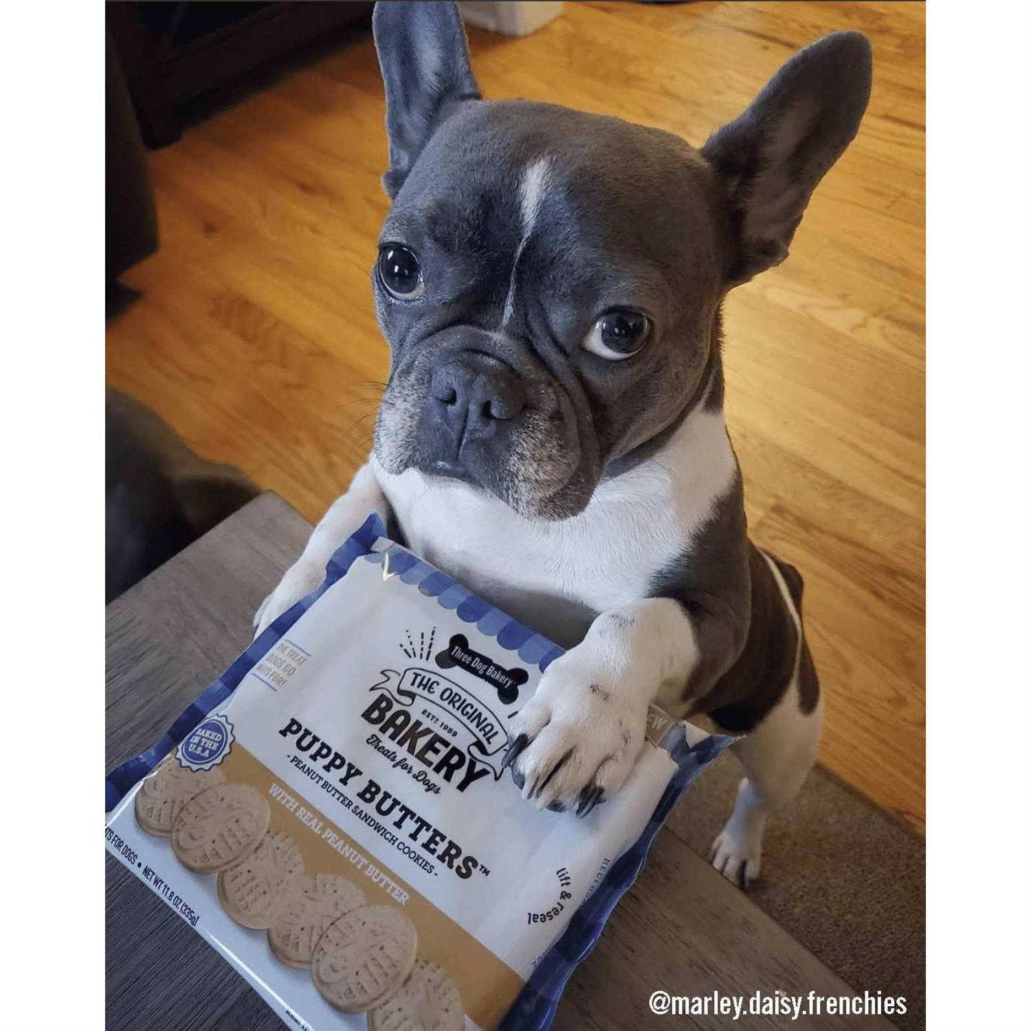 Three Dog Bakery Puppy Butters Peanut Butter Cookies Dogs Treats - Healthber