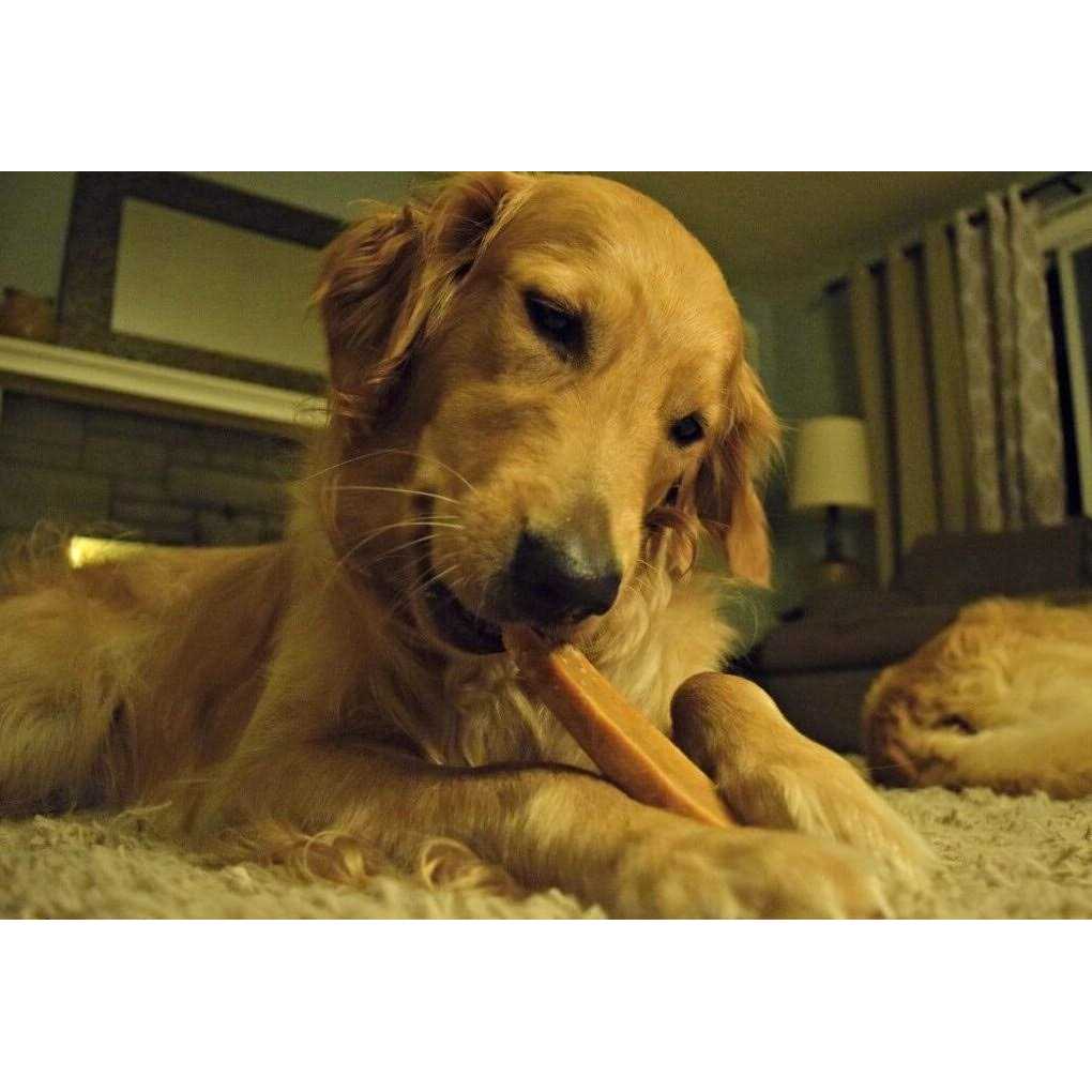 EcoKind Yak Cheese Dog Chews Healthy Dog Treats - Healthber
