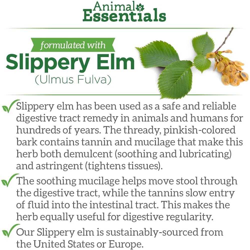Animal Essentials Colon Rescue - Healthber