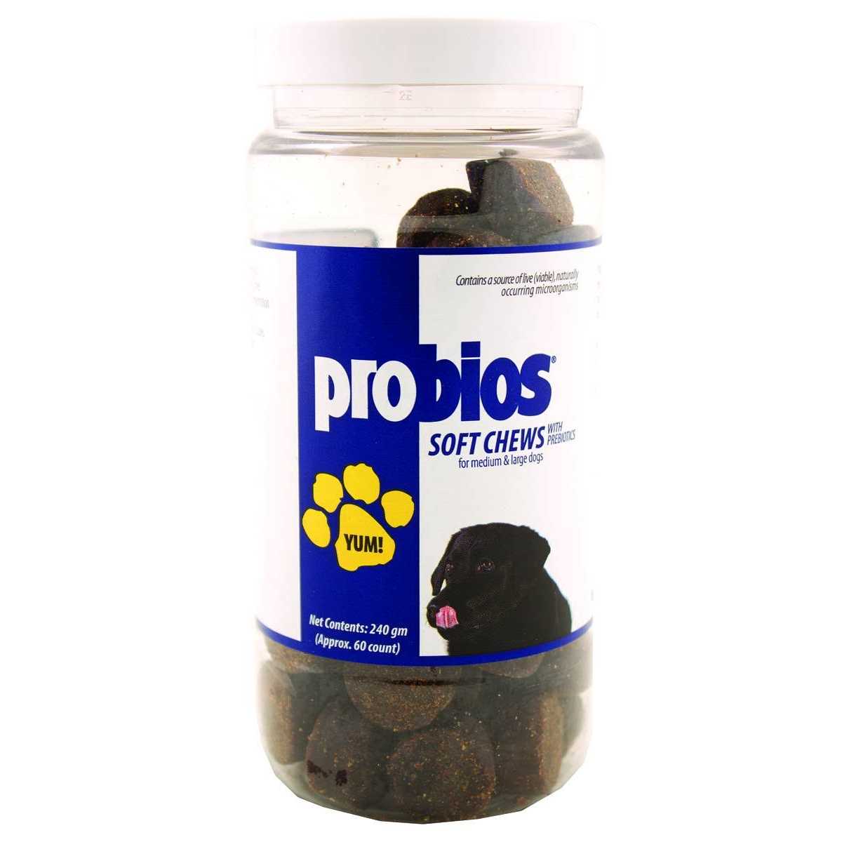 Probios for Dogs Soft Chews - Healthber