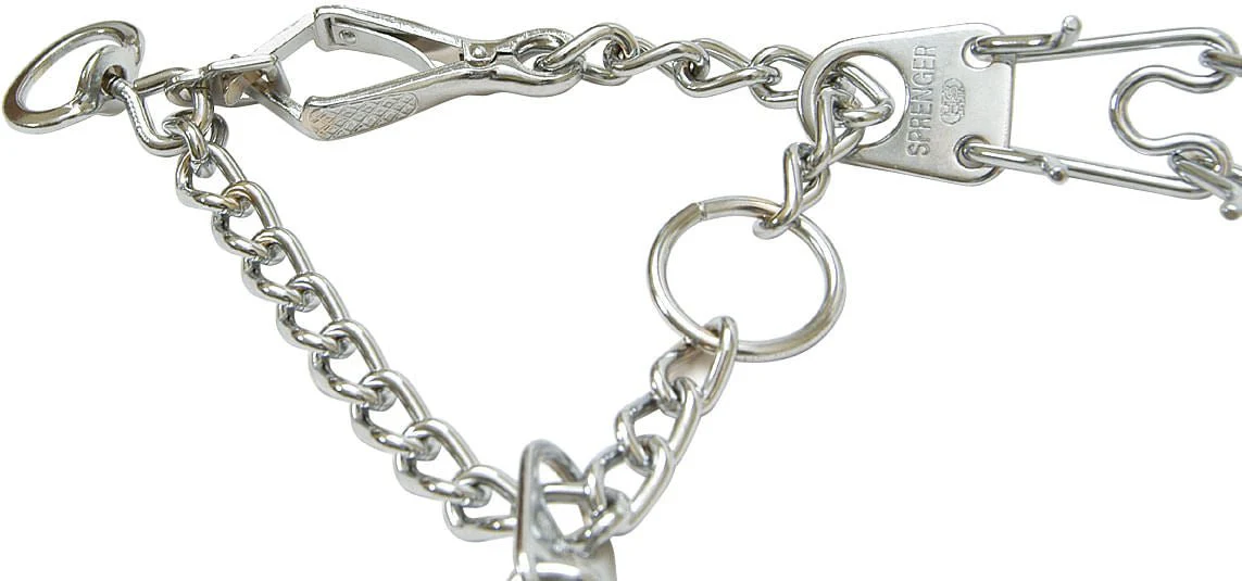 Snap-On Prong Training Collars - Healthber