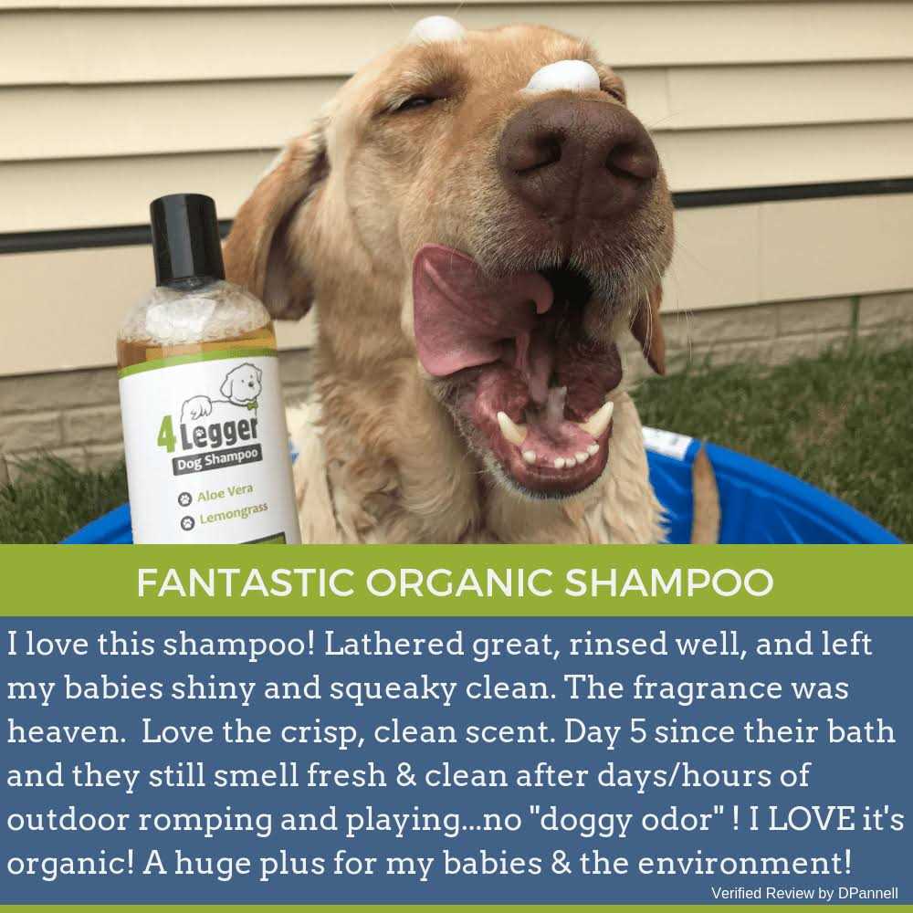 4-Legger Hypoallergenic Dog Shampoo with Organic Lemongrass - Healthber