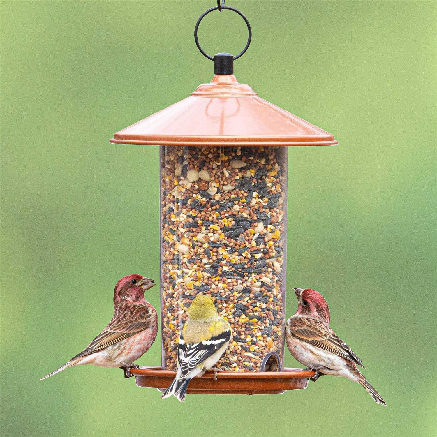 Global Harvest Food Audubon Peanut & Sunflower Wild Bird Feed - Healthber