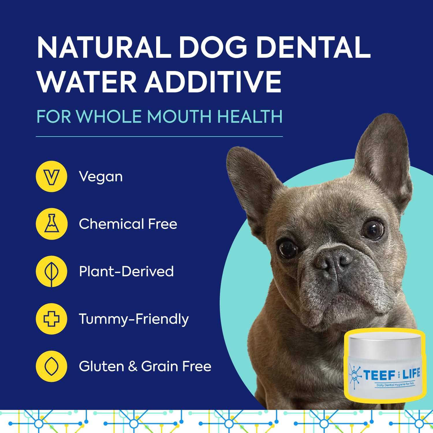 TEEF for Life Protektin42 - Healthber