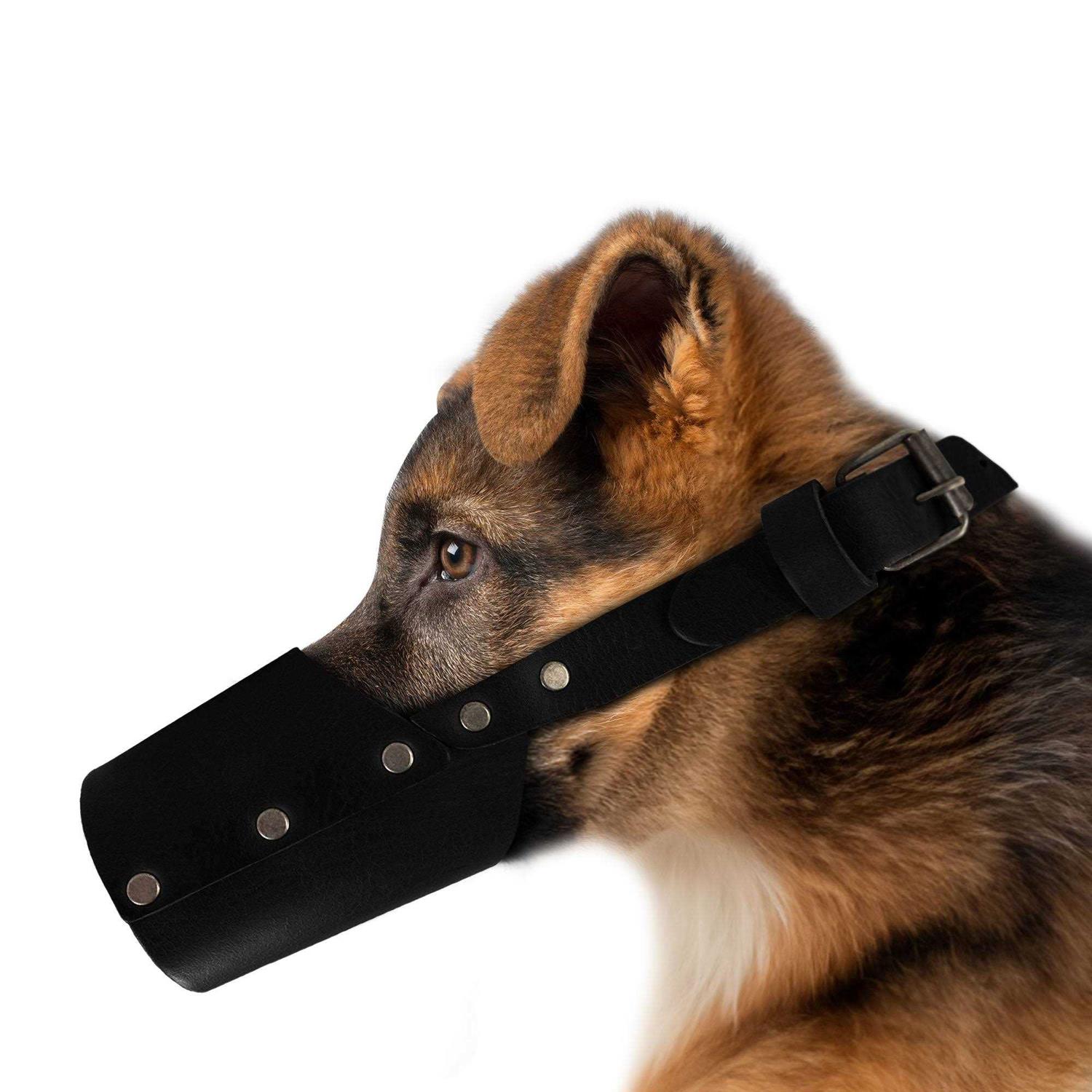 Hide & Drink Dog Muzzle Guard Secure Prevents Biting Chewing - Healthber