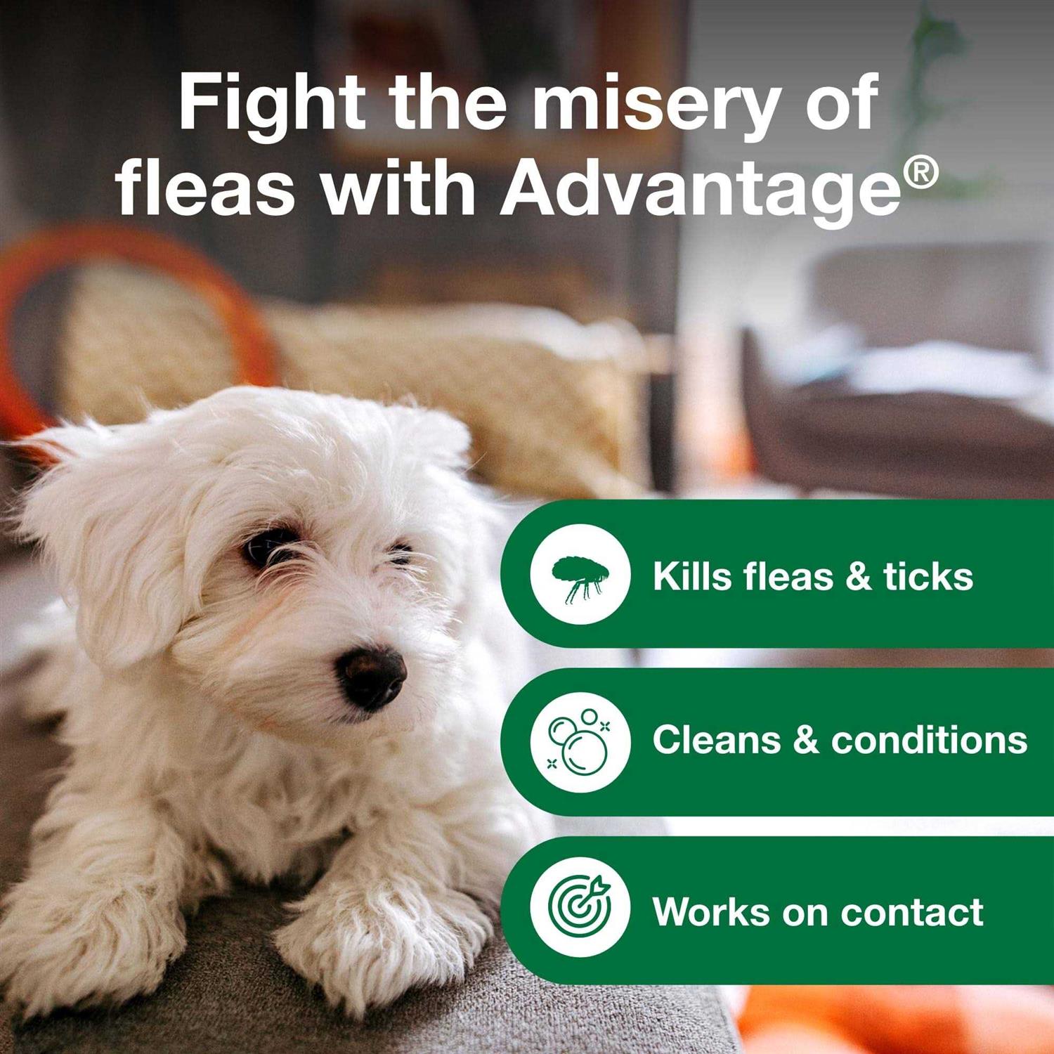 Advantage Flea & Tick Treatment Shampoo for Dogs & Puppies - Healthber