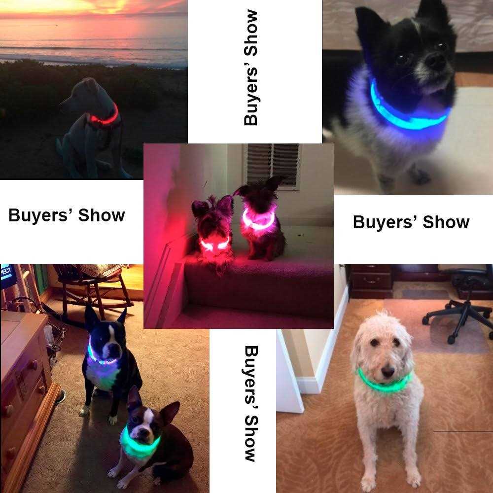 BSEEN Light Dog Collars Rechargeable LED Dog Collar Collar - Healthber