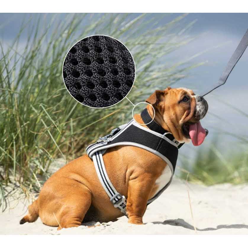 Hugo & Hudson Mesh Dog Collar - Healthber