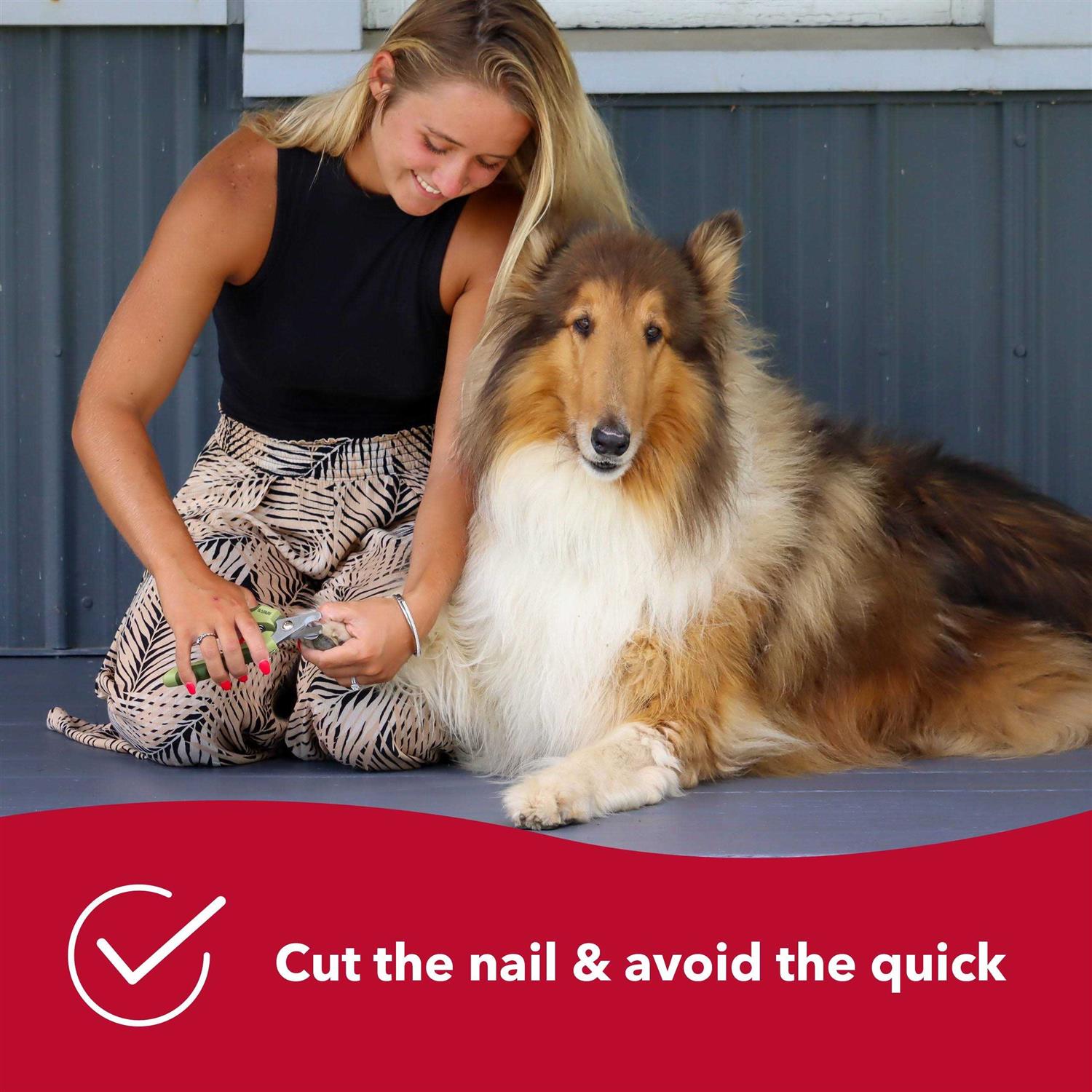 Safari Professional Nail Trimmer Large - Healthber