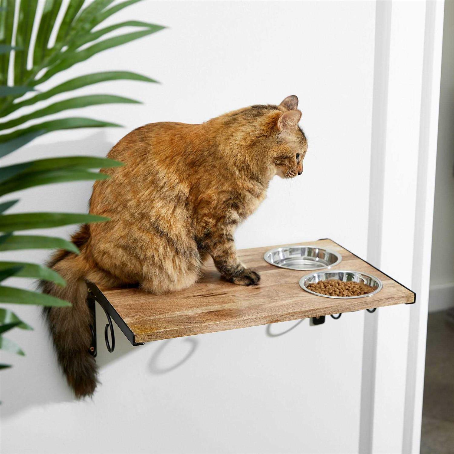 Frisco Wooden Wall Mounted Stainless Steel Cat Feeding Station with Bowl - Healthber