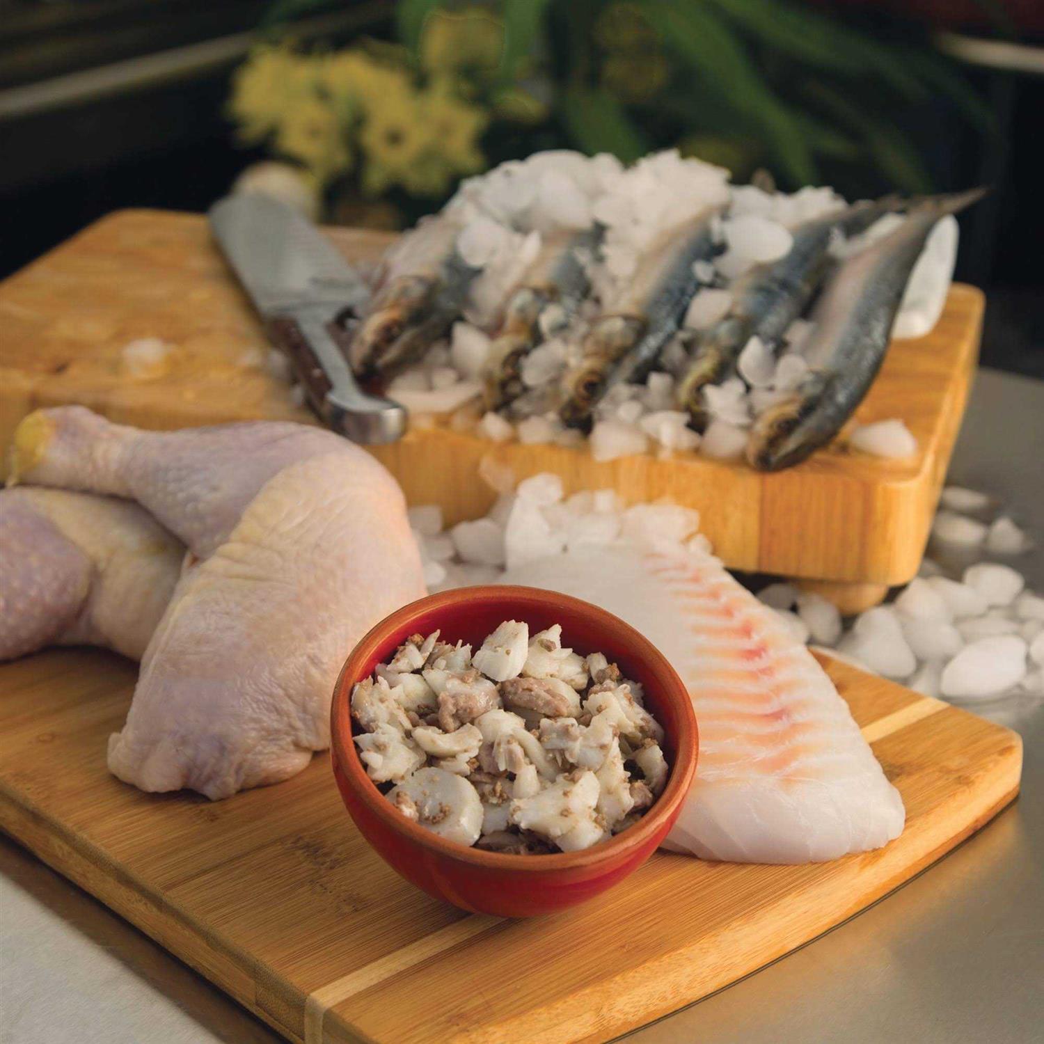 JustFoodForDogs Daily Diets Fish & Chicken Frozen Cat Food - Healthber