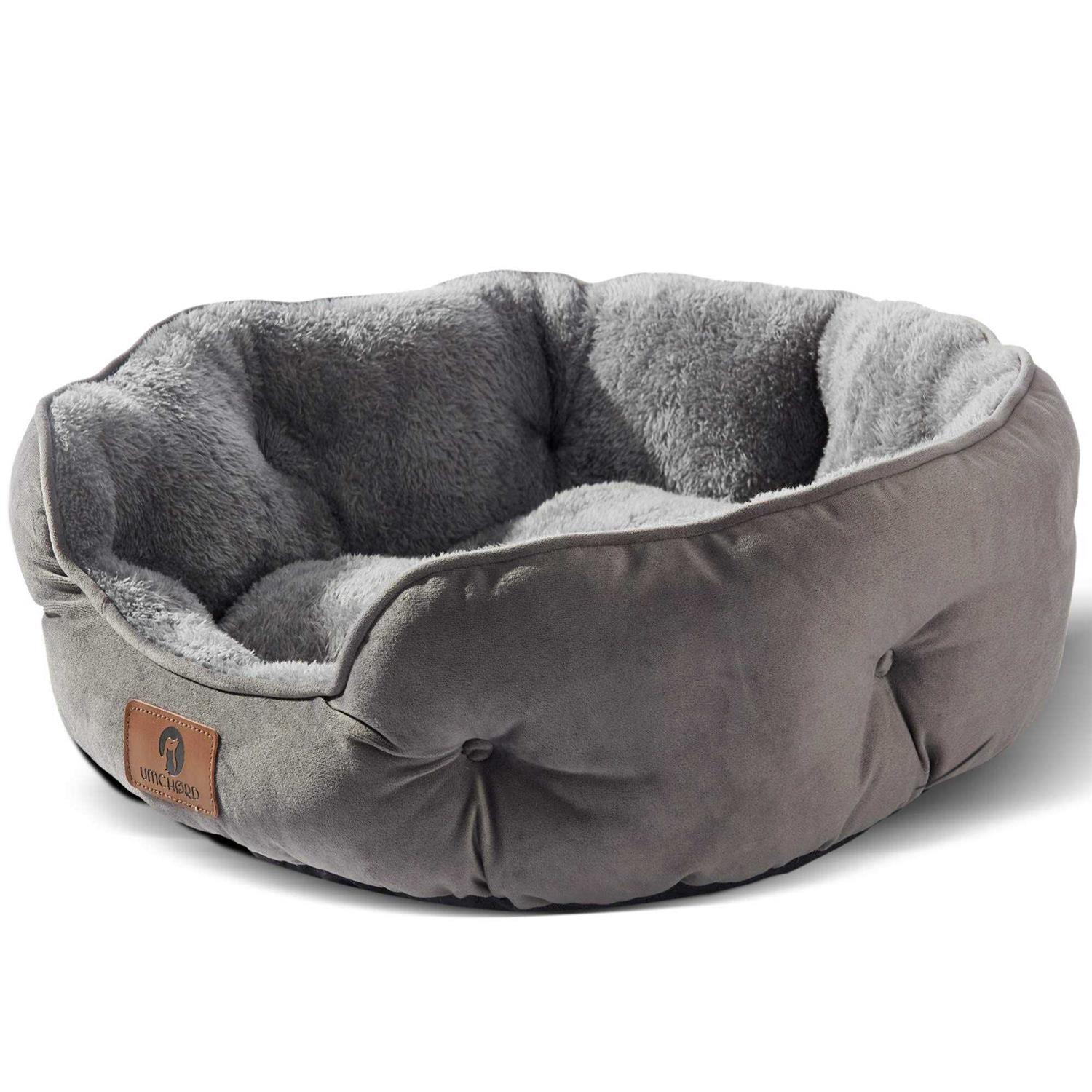 Asvin Small Dog Bed for Small Dogs, Cat Beds for Indoor Cats, Pet Bed for Puppy and Kitty - Healthber