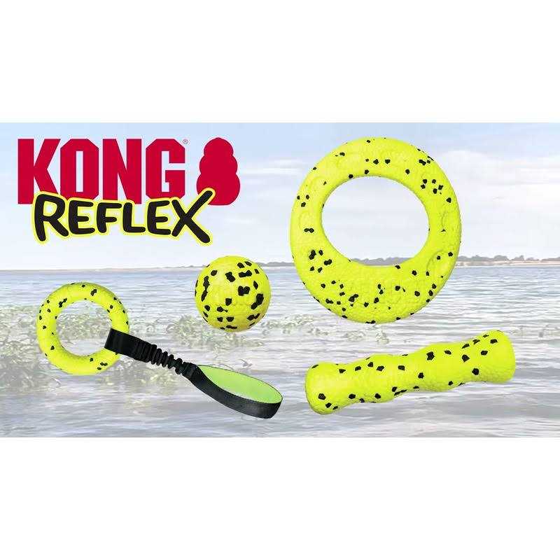 Kong Reflex Ball Dog Toy - Healthber