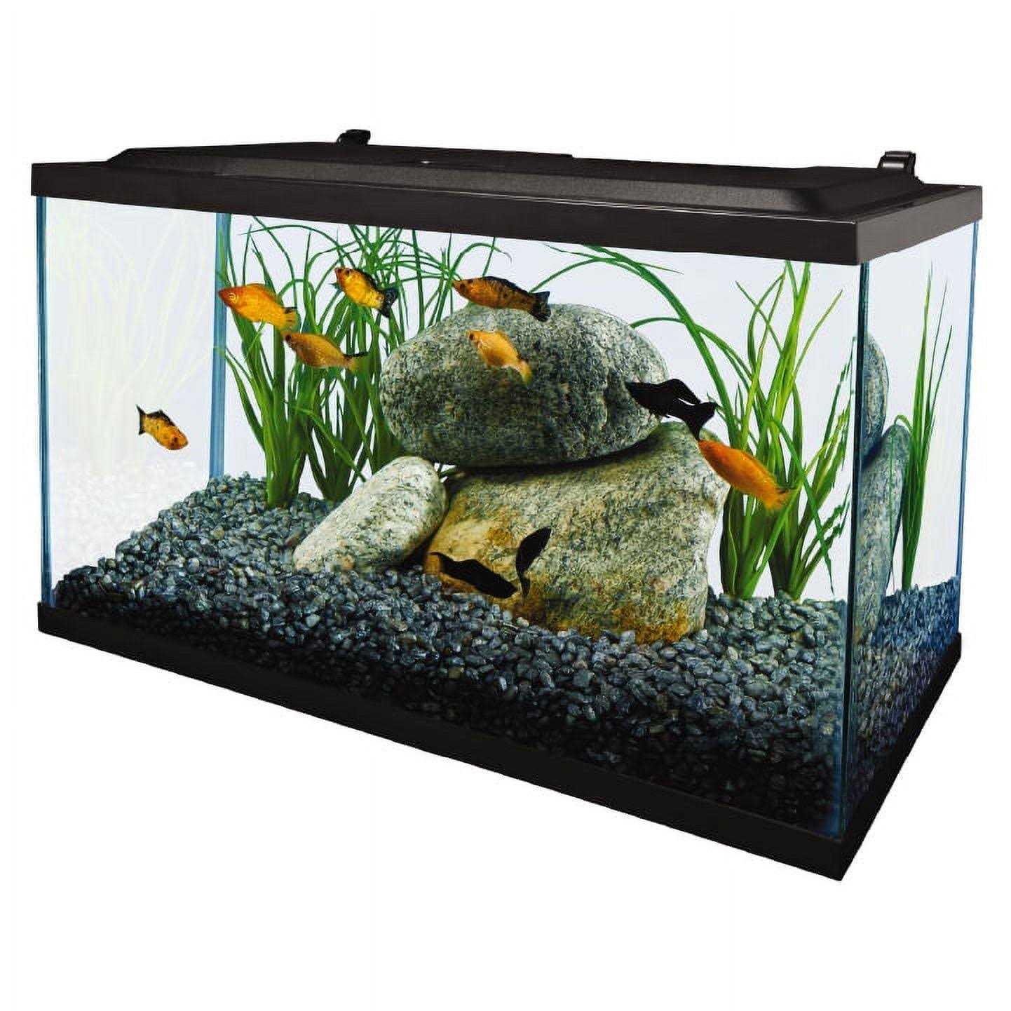Tetra 10 Gallon Glass LED Aquarium Kit - Healthber